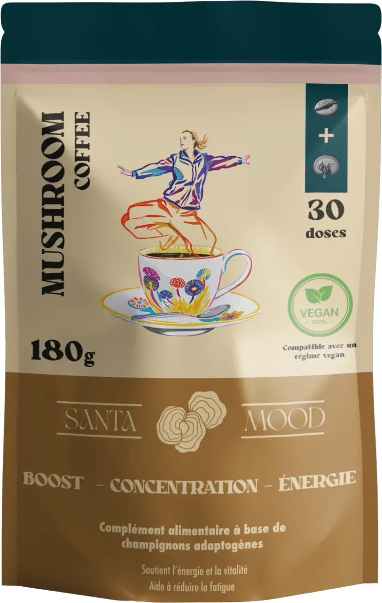 Sachet Mushroom Coffee SantaMood, 180 g, 30 doses